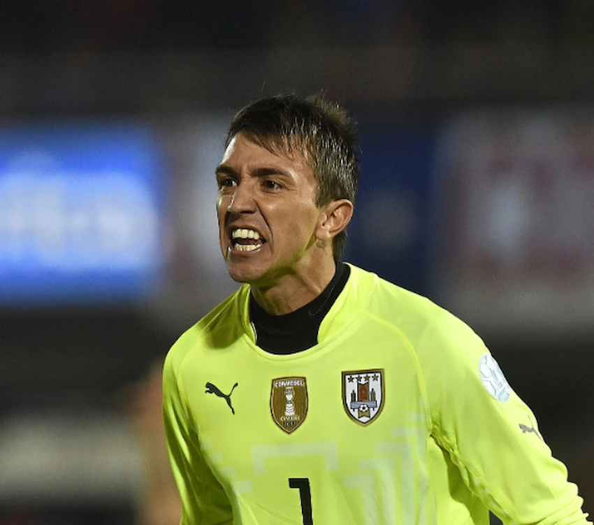 fernando muslera hambad 2015