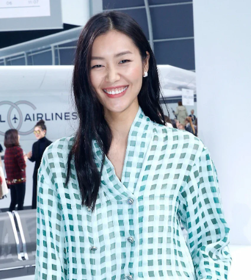 liu wen hambad 2015