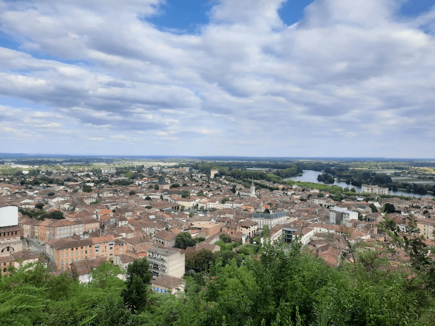 image 8 - Entreprise guêpes et frelons à Moissac, ALLO FRELONS