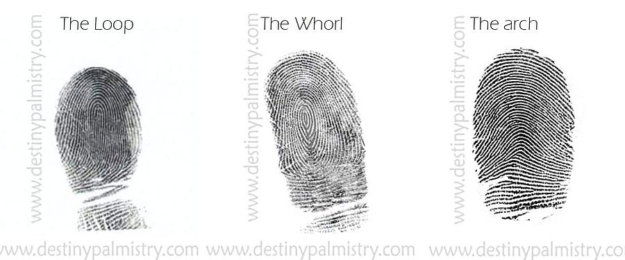 fingerprints by destiny Palmistry