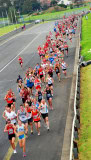 Sandown-Classic-2010_0267_2032x3592_6199011