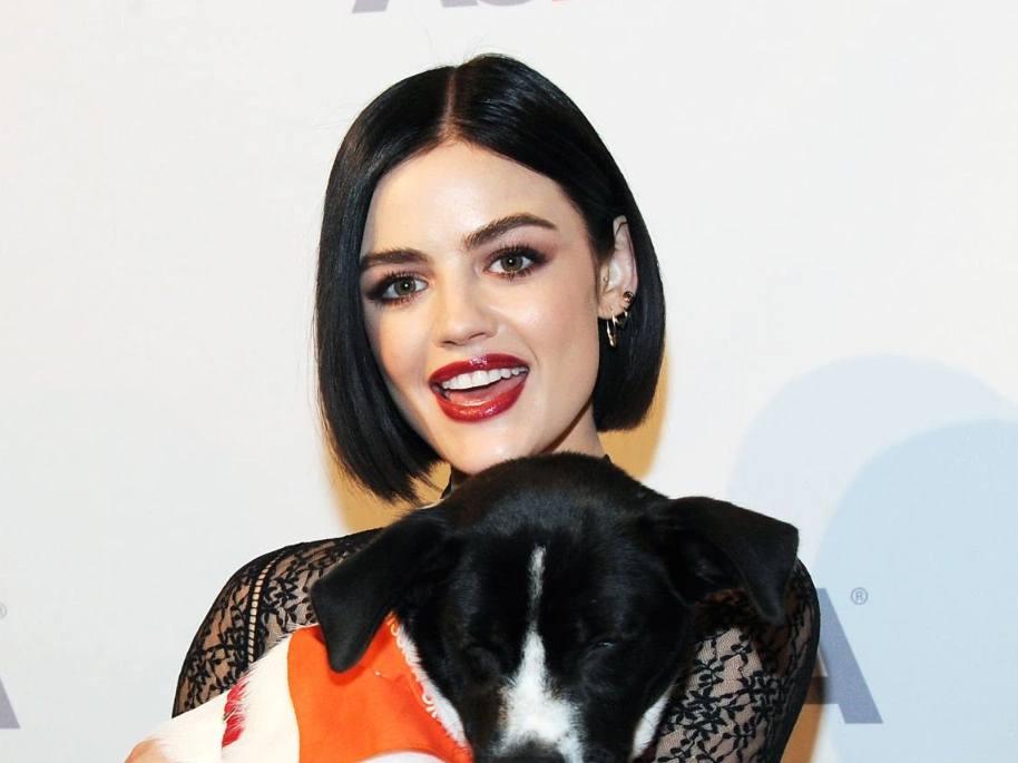 lucy hale teeth