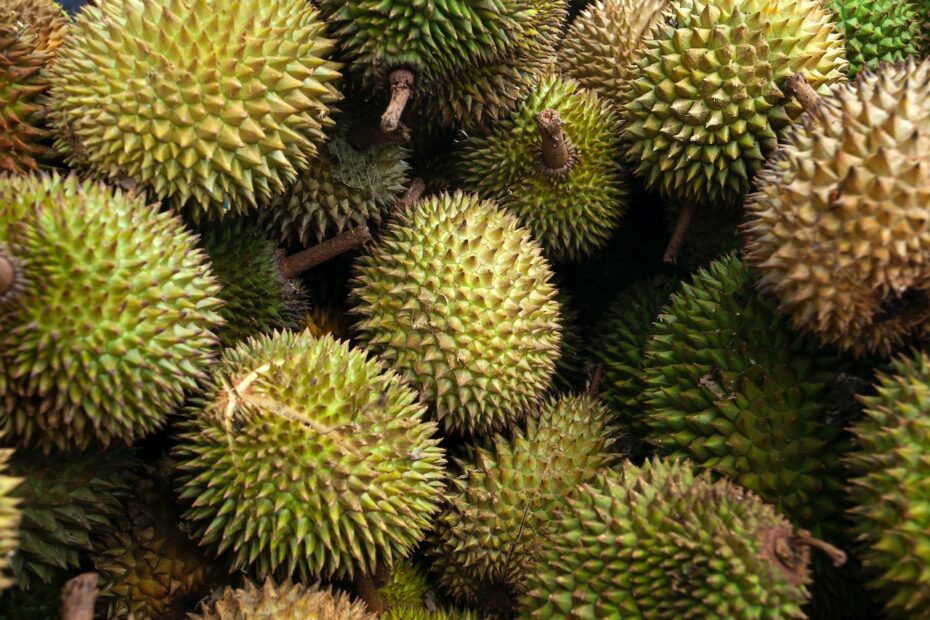 Durianfrucht
