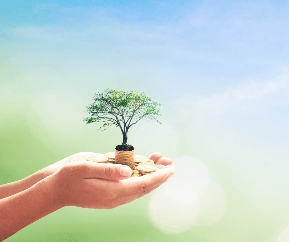 A person's hands holding a tree