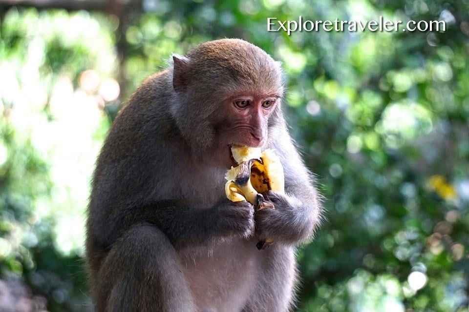 Animal Photo Tour From Around The World6