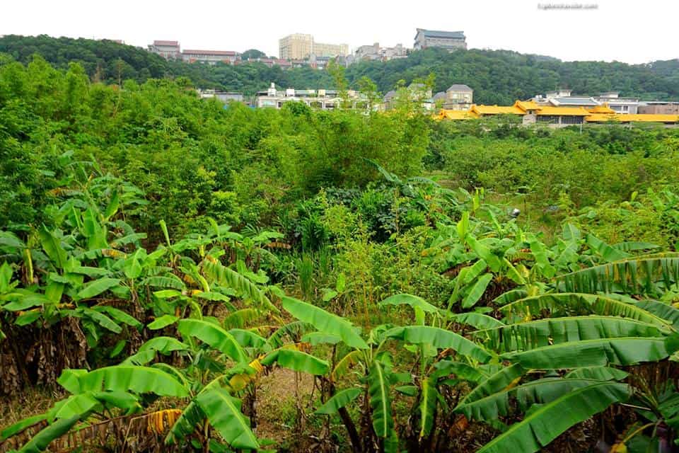 Vallée thermale verdoyante de #Beitou dans le nord de #Taiwan