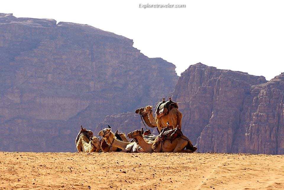 Esplendor atemporal en el desierto de Wadi Rum