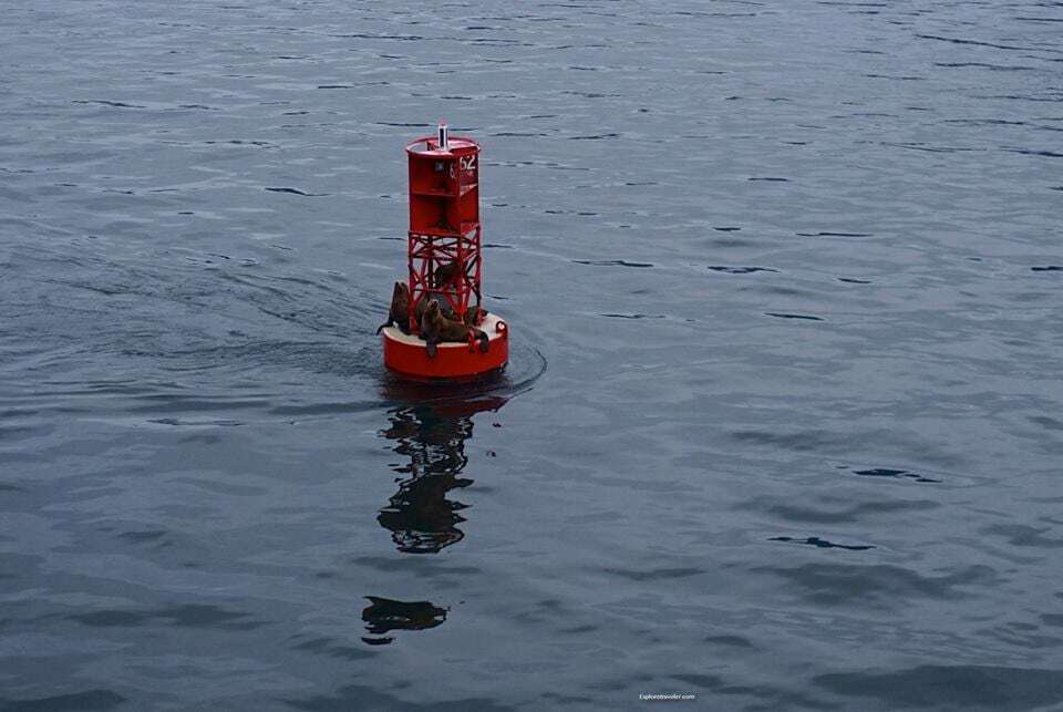 Seals