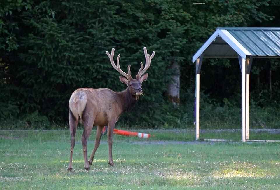 Animal Photo Tour From Around The World10