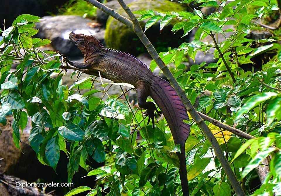 Animal Photo Tour From Around The World9