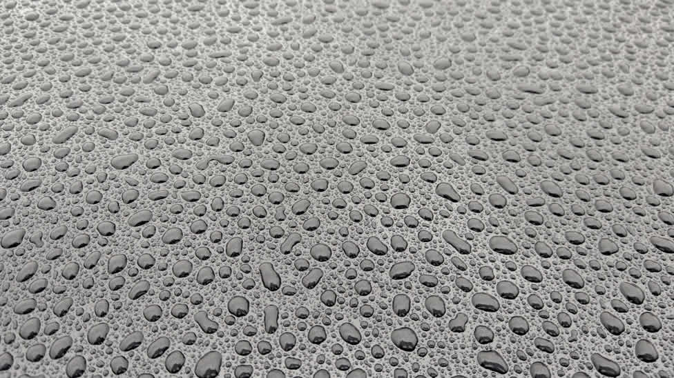 water beading on car ppf protective coating