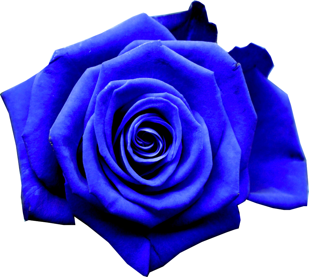 The BlueRose Gentlemen of Vienna