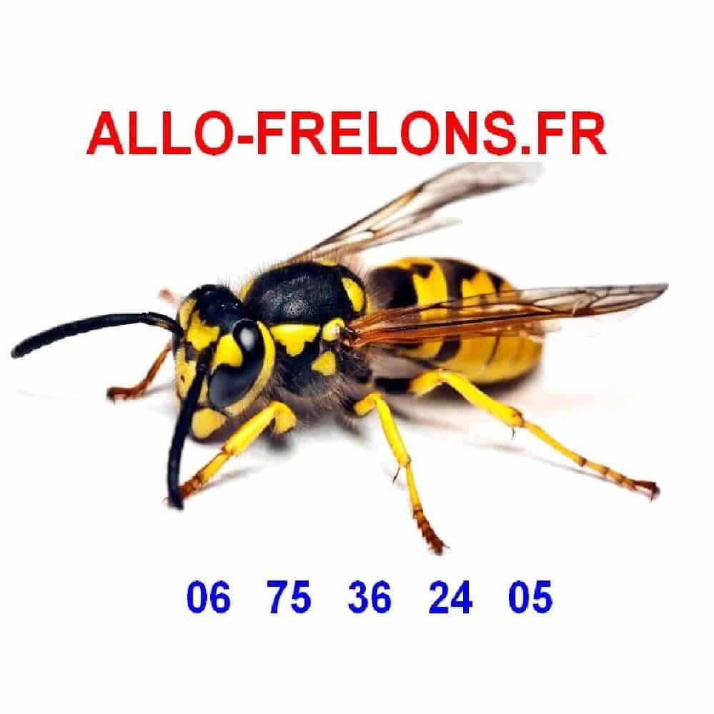 logo ALLO FRELONS