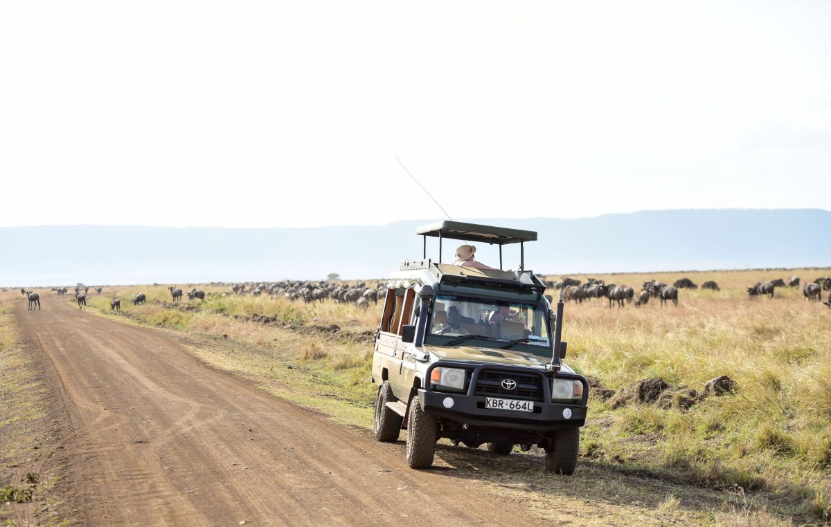 7 Days Kenya Safari: Amboseli, Naivasha and Maasai Mara - African safari tours - Maasai Mara safari Planning The Best African Safari Tours with African Sermon Safaris Kenya