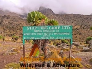 5-days-mount-kenya-climb-sirimon-chogoria-route-shiptons-camp