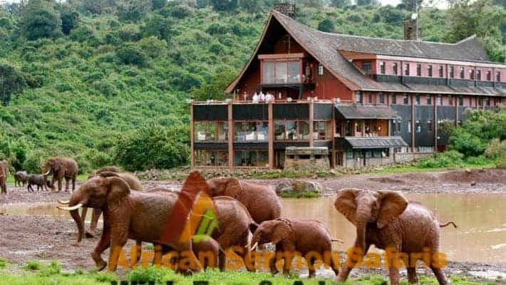 The Best of 6 Days Kenya Safari Tour Value Experience
