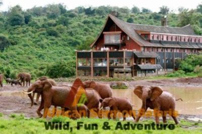 Kenya's Ark Lodge in Aberdare National Park Kenya safari holidays 6 days kenya safari aberdare, lake nakuru and masai mara holidays: Kenya safari tours