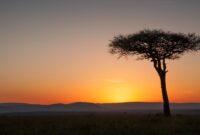 Maasai Mara Game Reserve: The Best Safari in Kenya