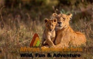 Six Days Highlights Northern Tanzania safari circuit