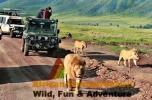 6-day-tanzania-trip