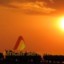 The Best of 3-Days Maasai Mara Safari Adventure