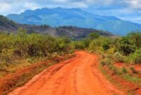 3-day exciting safari trip from Mombasa in 2025