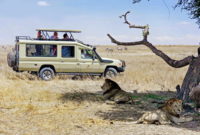 The Best 12-Day Kenya Safari & Stay At Diani Beach