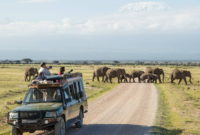 The Best Value 3-Day Amboseli Safari Tour in Kenya
