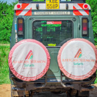 4-Day Masai Mara Safari Experience