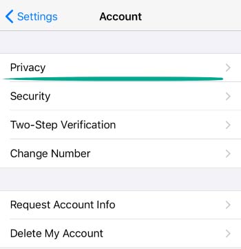 روی Privacy کلیک کنید.