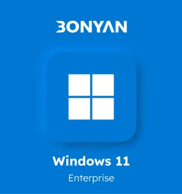 Windows 11 enterprise