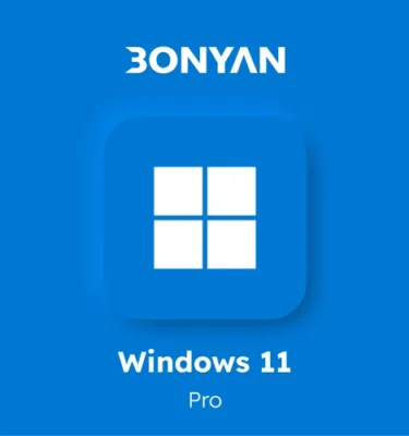 Windows 11 pro