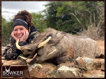 African Hunting Safari - How Much does a Hunt in Africa Cost? 18 African hunting safari with Nick Bowker. Warthog.