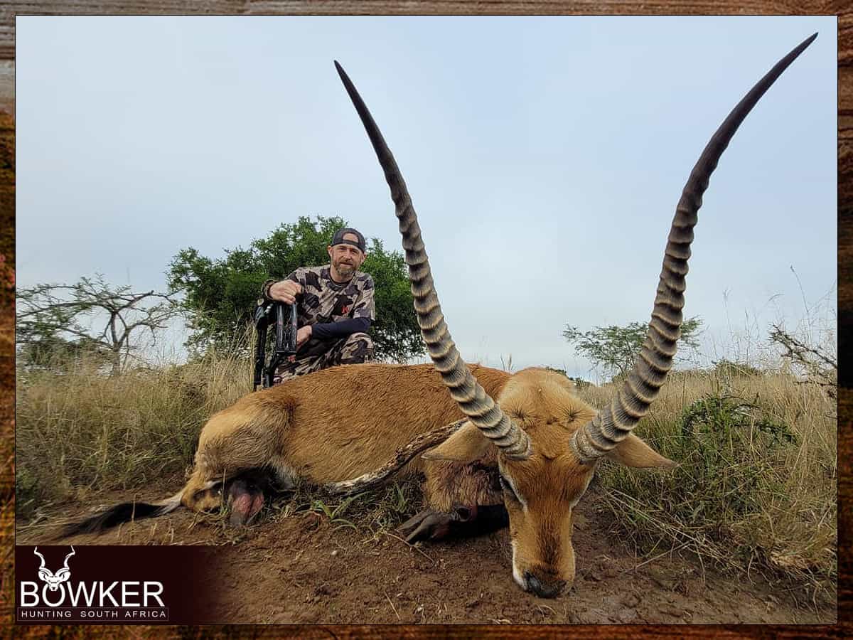 African Hunting Safari - How Much does a Hunt in Africa Cost? 32 Choosing your outfitter - Red Lechwe trophy