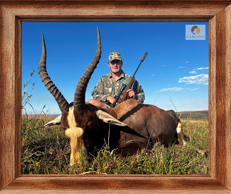 Blesbok hunts