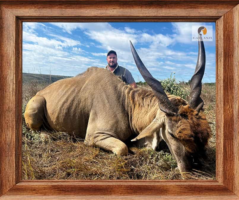 Eland hunting with Brendon Moorcraft