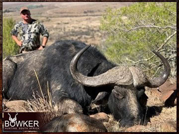 African Hunting Safari - How Much does a Hunt in Africa Cost? 12 Cape buffalo package and prices.