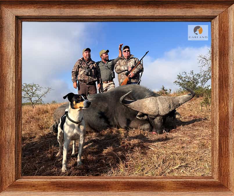cape buffalo hunting with brendon