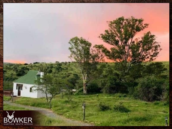 African Hunting Safari - How Much does a Hunt in Africa Cost? 37 Free range African hunting accommodation