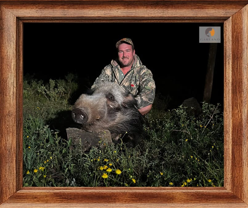 garland safaris bushpig hunt