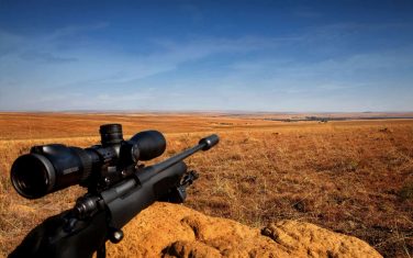 Your Hunt will be a fair chase in a free-range hunting environment. Rifle rest on an anthill. Your Hunt will be a fair chase in a free-range hunting environment.