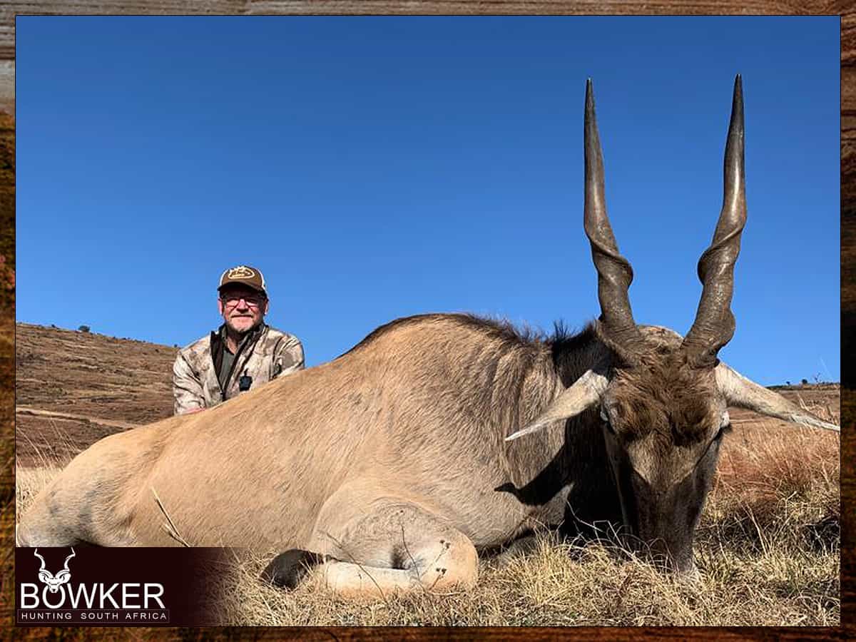 African Hunting Safari - How Much does a Hunt in Africa Cost? 5 Hunting in Africa with Nick Bowker - Eland trophy