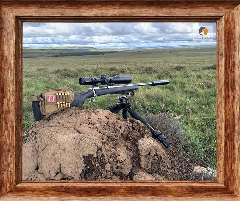 Hunting rifle on an antheap