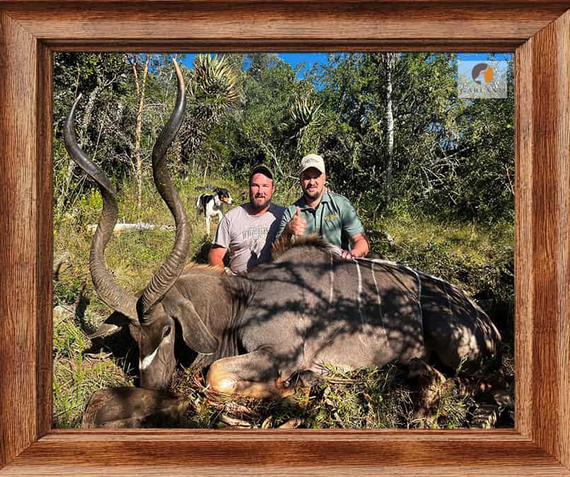African Hunting Packages - Calculate Your Africa Safari Hunt Trip Cost 4 Kudu hunted with Brendan Moorcraft of Garland Safaris