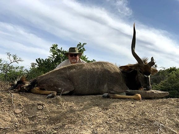 I saw a posting on another website for an African cull hunt package for twenty animals. The package included five trophies and fifteen culls One horned Nyala shot in a cull hunt.