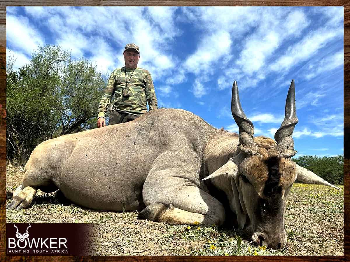 African Hunting Safari - How Much does a Hunt in Africa Cost? 38 Eland trophy - what is the best time for hunting in South Africa.