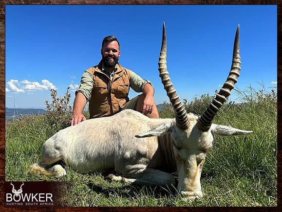 Blesbok hunting is always done out on the open plains. White blesbok hunt in 2023.