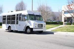 DSC00211-300x200 Gallery