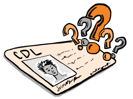 What is a cdl license