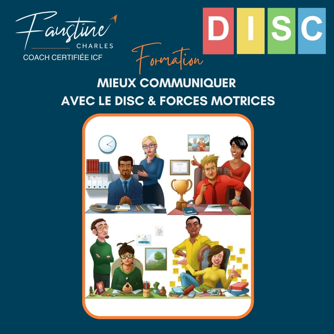 formations_professionnelles 3 formation DISC 4 couleurs